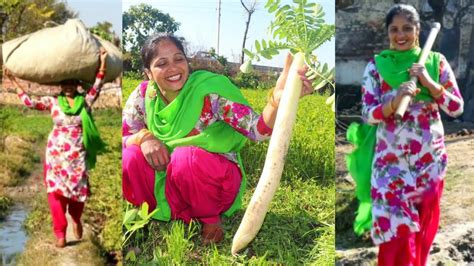Village Lifestyle Of Punjab 🖤 Indian Rural Life Of Punjab🖤pind Lifegao