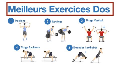 Séance Musculation 4 Les Meilleurs Exercices Pour Travailler Le Dos