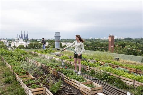 Reasons Why Urban Gardening Is A Good Idea Toof Top Gardens