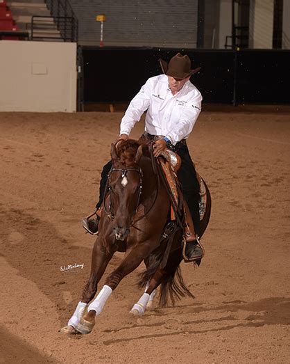 Recap From 2nd Annual Wild Card Reining Challenge Equine Chronicle