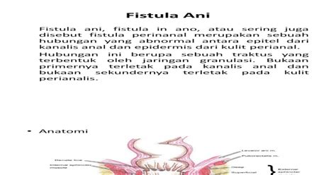 48943697 Fistula Ani Pdf Document