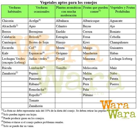 Qué frutas y verduras pueden comer los Conejos Wara Wara Nat