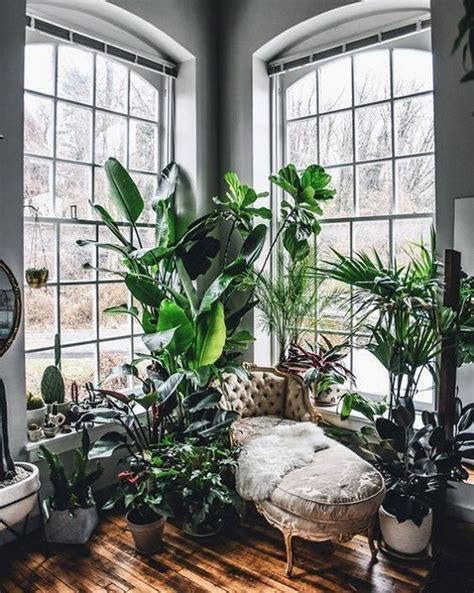 Find 15 Incredible Indoor Plants Decor Ideas Simdreamhomes