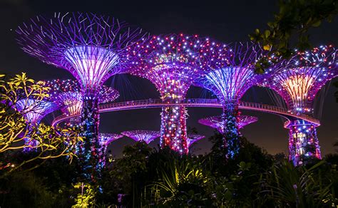 Desktop Wallpapers Singapore Gardens By The Bay Nature Parks Night