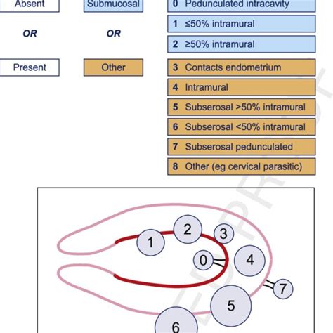 Pdf Abnormal Uterine Bleeding