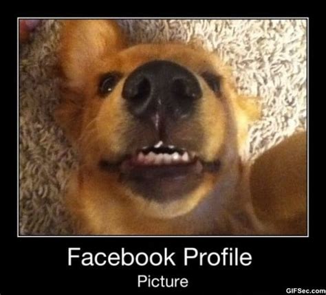 Funny Picture Clip Funny Pictures Blog Facebook Profile Picture