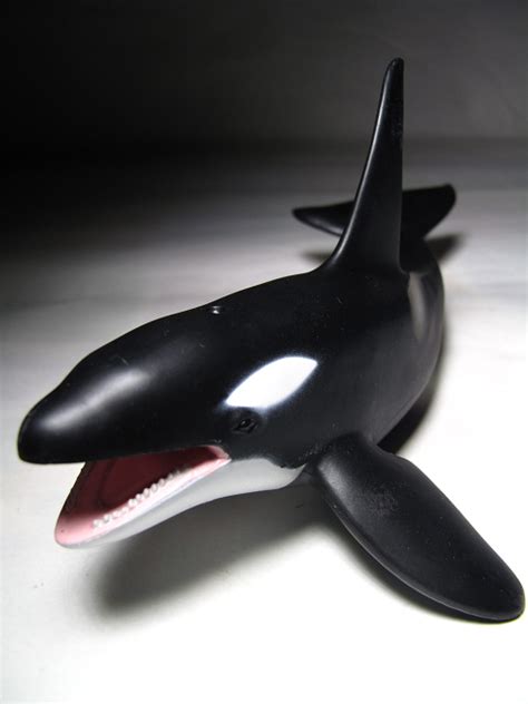 Collecta Animal Toy Figure Orca Killer Whale Ebay