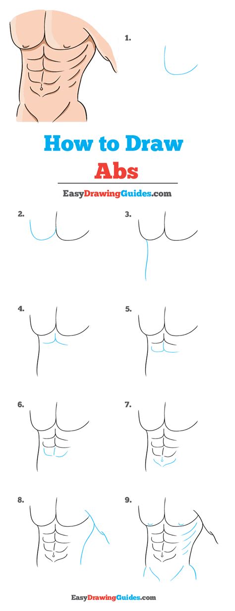 Https://tommynaija.com/draw/how To Draw A Abs Easy