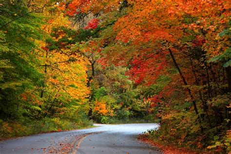 Take A Ride To Michigan Upper Peninsula And Enjoy The Fall Colors