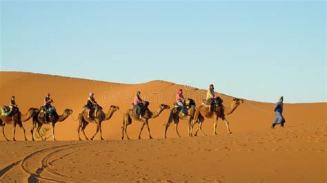 Cameleer Con La Caravana Del Camello En Desierto Imagen Editorial