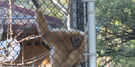 Roosevelt Park Zoo Receives Aza Accreditation