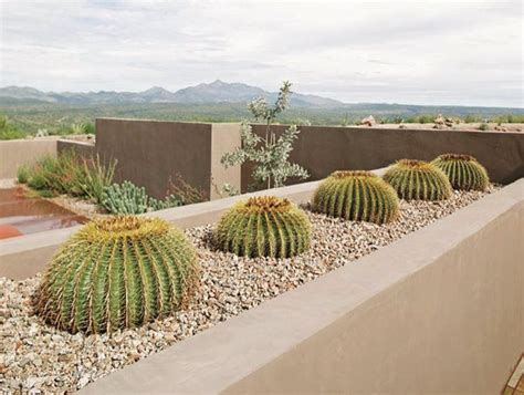 'insist on going to the cremation, insist on going to the burial. Design Collaborations Ltd. Tucson, AZ | Garden design ...