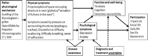 Conceptual Model Of The Relationship Between Pathophysiological