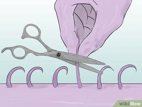 How To Shave The Vagina