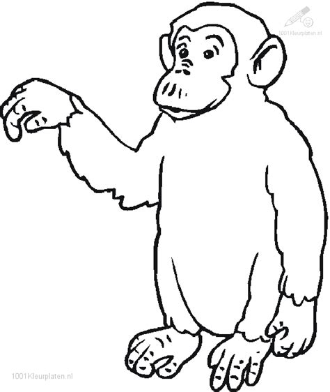 Kleurplaat Gorilla