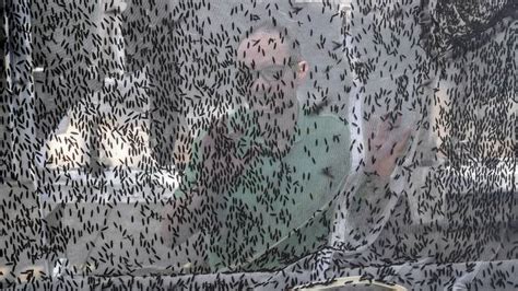 Swarms Of Bloodsucking Flies That Leave Huge Blisters Set To Cause