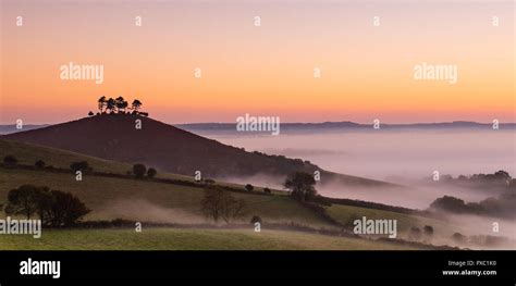 Colmers Hill Dorset Mcmahon Hi Res Stock Photography And Images Alamy