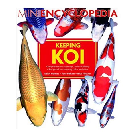 Keeping Koi Frenzy Feeding Cyprinus Anchor Koifishonline