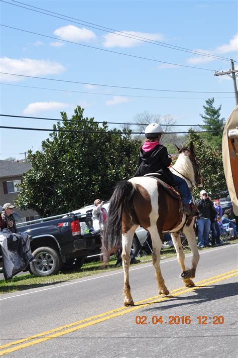 2016 April 2 Mule Day Parade In Columbia Tennessee Flickr