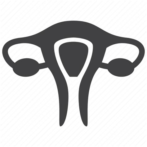 Gynecology Ovary Uterus Icon