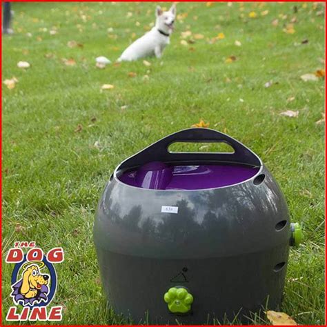 Petsafe Automatic Ball Launcher