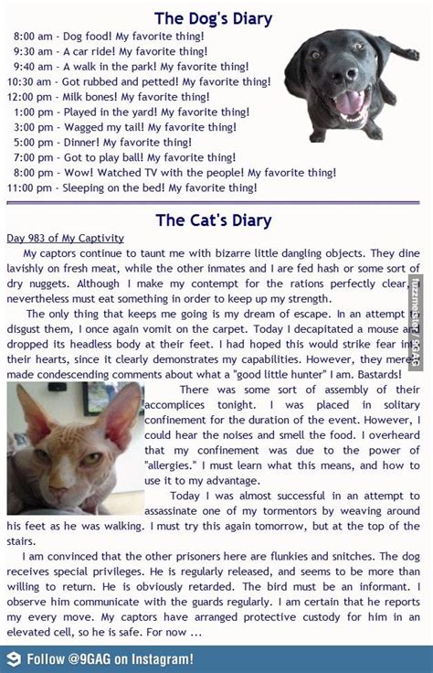 The dog and cat diary, just listen, its kinda self explanatory. Dog Diary vs Cat Diary | Cat diary, Funny, Funny animals