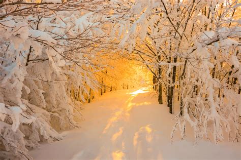 Snow Sunrise Italy Pics