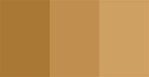 Cardboard Color Scheme Color Scheme Brown