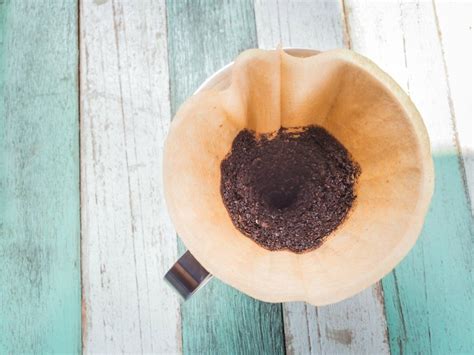 Place fresh coffee grounds together with plant bulbs to keep squirrels from digging up potted bulbs. Use Coffee to Keep Away Mosquitoes | Mosquito, Uses for ...