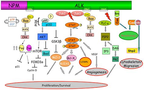 Frontiers A Systemic Review Of Resistance Mechanisms And Ongoing
