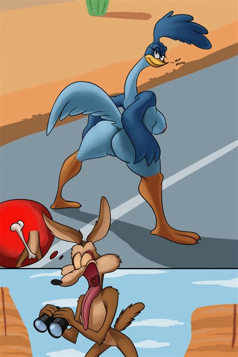 Post 1626255 Looney Tunes Road Runner Rule 63 Thingshappen Wile E Coyote