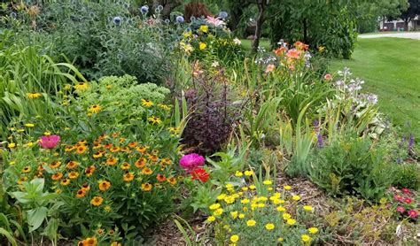 Maybe you would like to learn more about one of these? Pin by Priscilla S. on My ZONE 5 PERENNIAL Garden (With ...