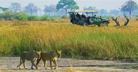 Safari In Botswana Linyanti Spectacular Wildlife Tour