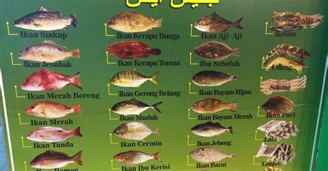 Nama Nama Ikan Laut Homecare24