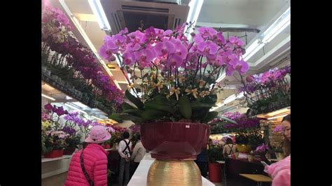 Flower Market At Prince Edward Hong Kong Youtube