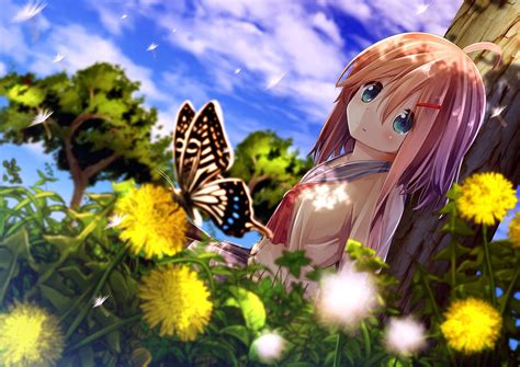 Anime Girls Butterfly Flower Wallpapers Hd Desktop And Mobile Backgrounds