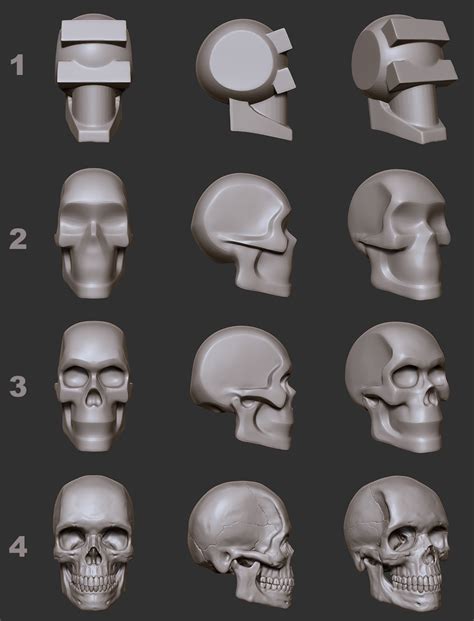 Hecs Portfolio Skull For Reference 3d Asset