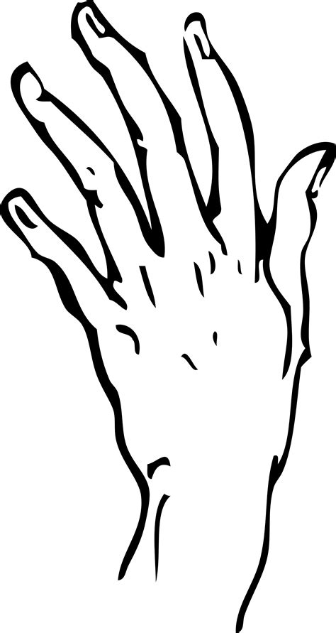 Free Hand Line Art Download Free Hand Line Art Png Images Free