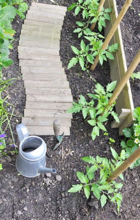 Conseils Pour Bien Débuter Son Potager Cultivea