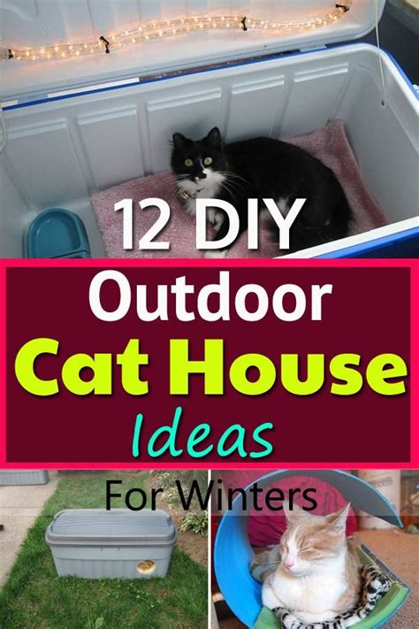 If Your Cat Stay Outside Or You Want To Help Feral Cats To Keep Them