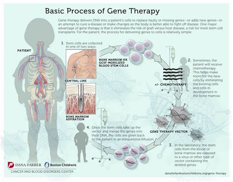 Gene Therapy Process