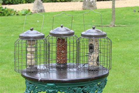 Feeding the birds that come into your backyard brings you a lot of joy. LARGE SQUIRREL PROOF SEED FEEDER garden bird feeder