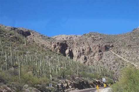 Tucson Mountain Park All You Need To Know Before You Go Updated