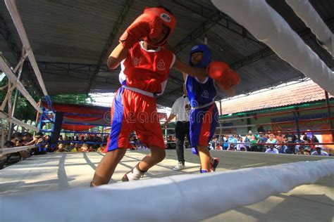 Child Boxing Championship Editorial Image Image Of Round 66328110