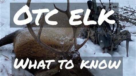 Hunt elk in colorado like you would whitetail deer in the eastern us, blinds are already in place and have been for years taking elk every year. OTC Elk Hunting: What to know for a DIY Elk Hunt in Colorado {Episode 13} - YouTube