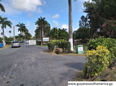 the botanical gardens georgetown photos of guyana