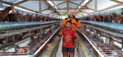 Warga Desa Tajun Mulai Kembangkan Bisnis Ternak Ayam Petelur Website