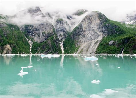 Photos Of A Tracy Arm Fjord Cruise