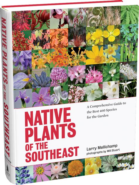 Native Plants Of The Southeast