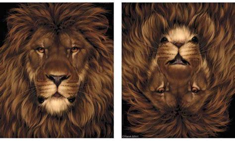Pin By Retta May On Creative Artistry Optical Illusions Cool